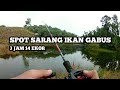 At this spot, fishing for snakehead fish doesn't take long, HARVEST