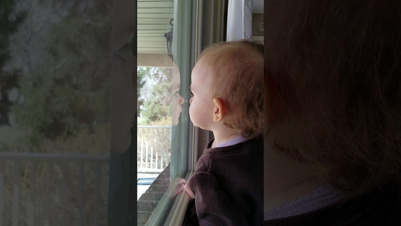 3-27-18 licking windows