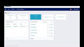 IdentityIQ Access Approvals