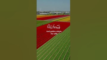 (وَٱللَّهُ یَدۡعُوۤا۟ إِلَىٰ دَارِ ٱلسَّلَـٰمِ ...)  القارئ :انس الشافعي سورة : يونس #mali_emandar❤.