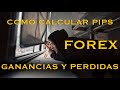 Como calcular ganancias en Forex y que es un PIP - YouTube