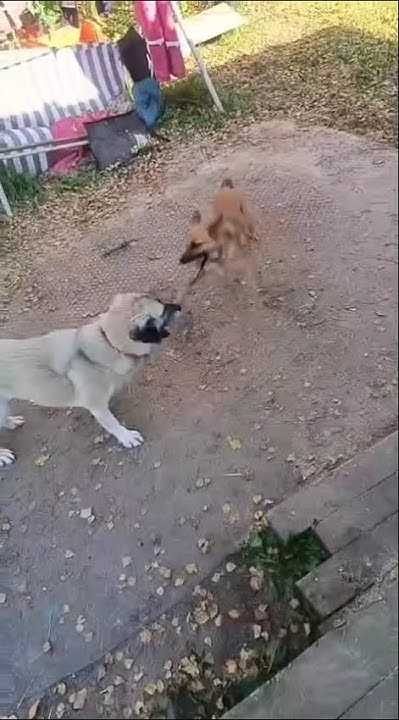 youtube.com