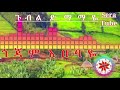 ጎጃም አበባዬ Jemberu Kassa ጀምበሩ ካሳ Gubil Demamaye Gojam Ababaye