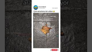 Şuan Aşırı Rahatımm