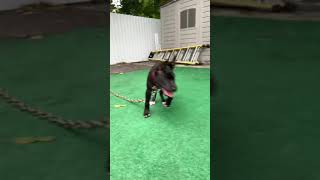 Boudreaux Blood X Boyles Blood