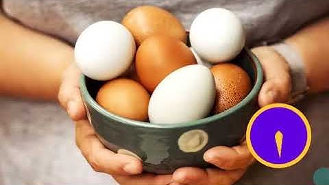 Power Up Start Smart Unit 3 Food shopping All video