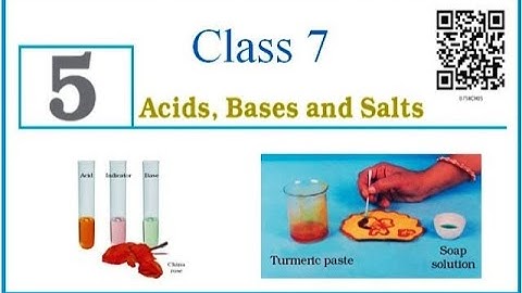 Class VII Science 18 11 2020 by Ms Bhanupriya