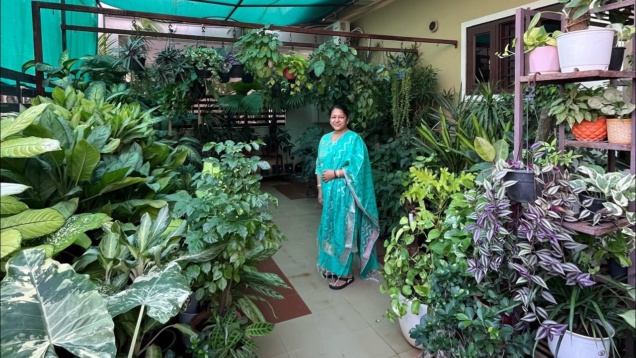 एक छोटे से शौक़ ने बदल दी ज़िंदगी 🌿 मीनाक्षी जी की गार्डनिंग कहानी 👌 Kota Series EP-01