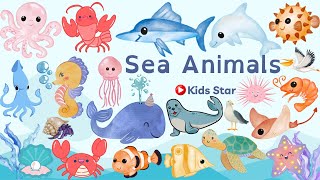 BELAJAR MENGENAL NAMA HEWAN LAUT | LEARNING SEA ANIMALS NAME | OCEAN ANIMALS NAME | BINATANG LAUT