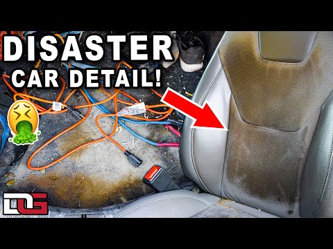 Deep Cleaning a DISASTER Farm Car! | Extreme Stain Removal & Car Detailing | The Detail Geek