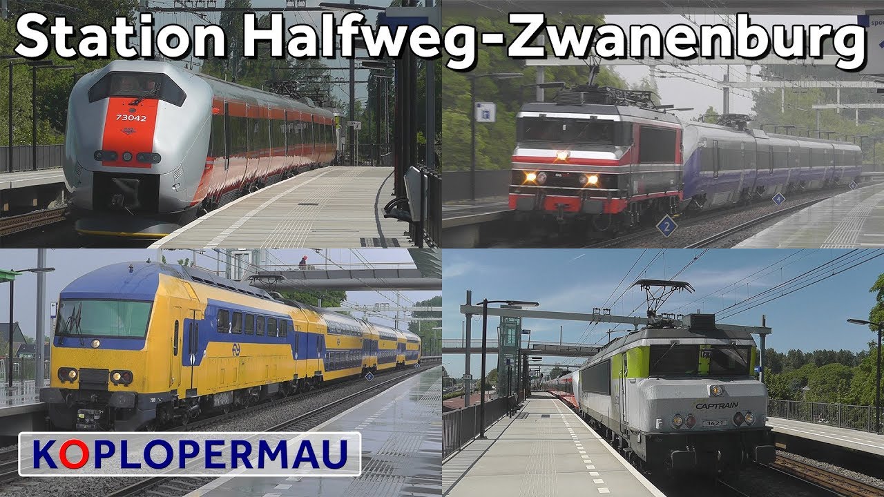 Treinen op station Halfweg-Zwanenburg (treinen compilatie)
