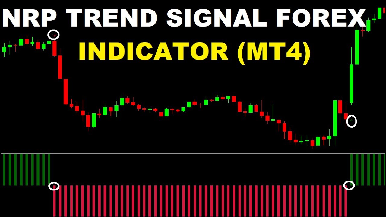 Nrp Trend Signal Forex Indicator Mt4 Best Indicator Mt4 For