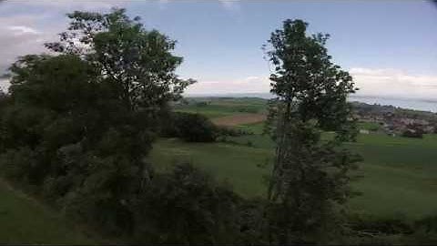 Eachine Wizard X220s - Crash Into A Tree [2,7K]