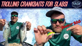 How to Troll Crankbaits for Summer/Fall Crappie!