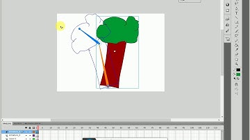 bone tool animation adobe flash cs5.5