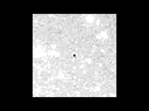 Optical Flash From GRB 130427A