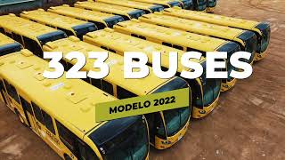 Entrega 323 Buses Scania K280 | Emasivo S.A.S. - SITP | Scania Colombia