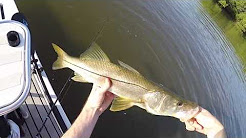 Tampa Bay Fishing Trip (Catching Snook On The Paddleboard)