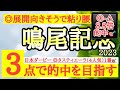 【鳴尾記念2023】◎走法的に道悪も無難にこなせそうで展開向きそうなあの馬から!