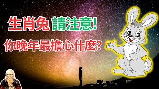 生肖兔，你晚年最擔心的是什麼？答案都在這裡！命理提醒也會告訴你如何應對！請多看兩遍！ #生肖兔2024年運勢 #生肖兔2024年運程 #屬兔人2024年運程 #屬兔人2024年運勢