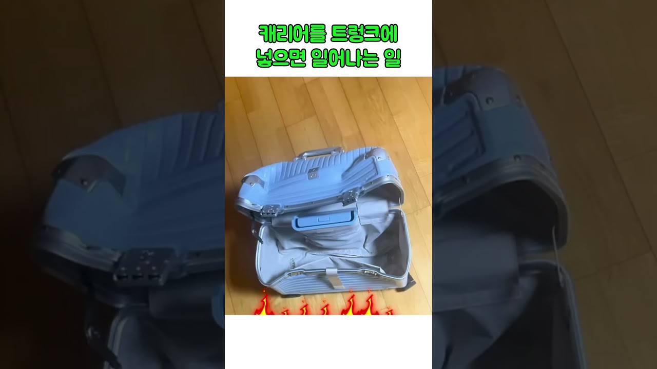 캐리어를 트렁크에 넣으면 일어나는 일