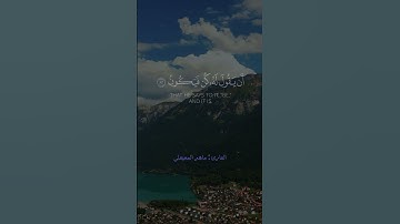 تلاوة خاشعة بصوت ماهر المعيقلي #المغرب #السعودية #الجزائر #تونس #قرآن #القرآن_الكريم #quran