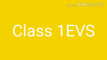 Class1 EVS Chapter 13 Air