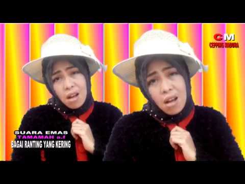 suara-emas-tamamah-a.f---bagai-ranting-yang-kering