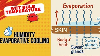 Wet Bulb Temperature Part-1 Evaporative Cooling How Humidity Controls Cooling