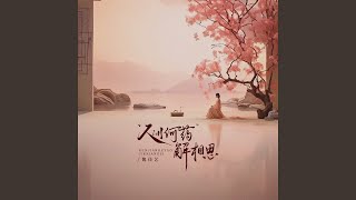 人间何药解相思