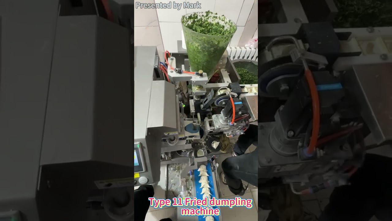 （11款花边鲜虾饺子）Soonture Type 11 Shrimp dumpling machine onsite  