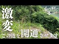 【超スッキリ】長年放置された道が驚くほど綺麗になりました#44