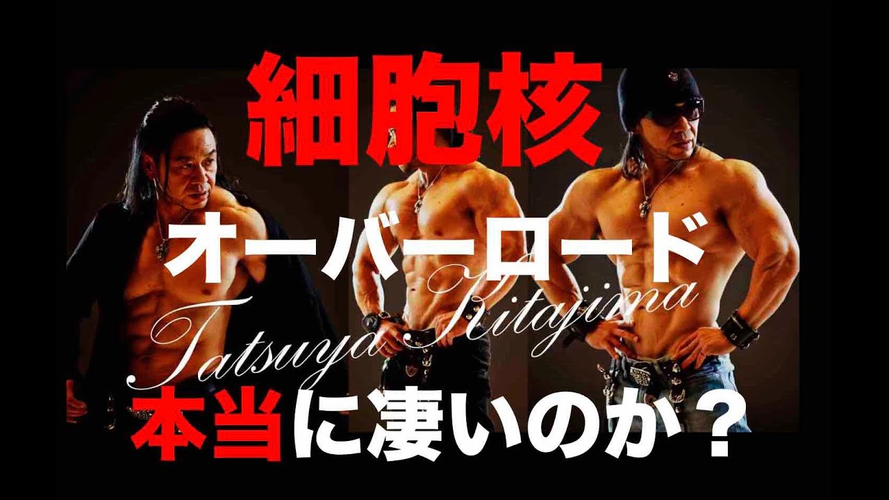 細胞核オーバーロードは本当に凄いのか Youtube