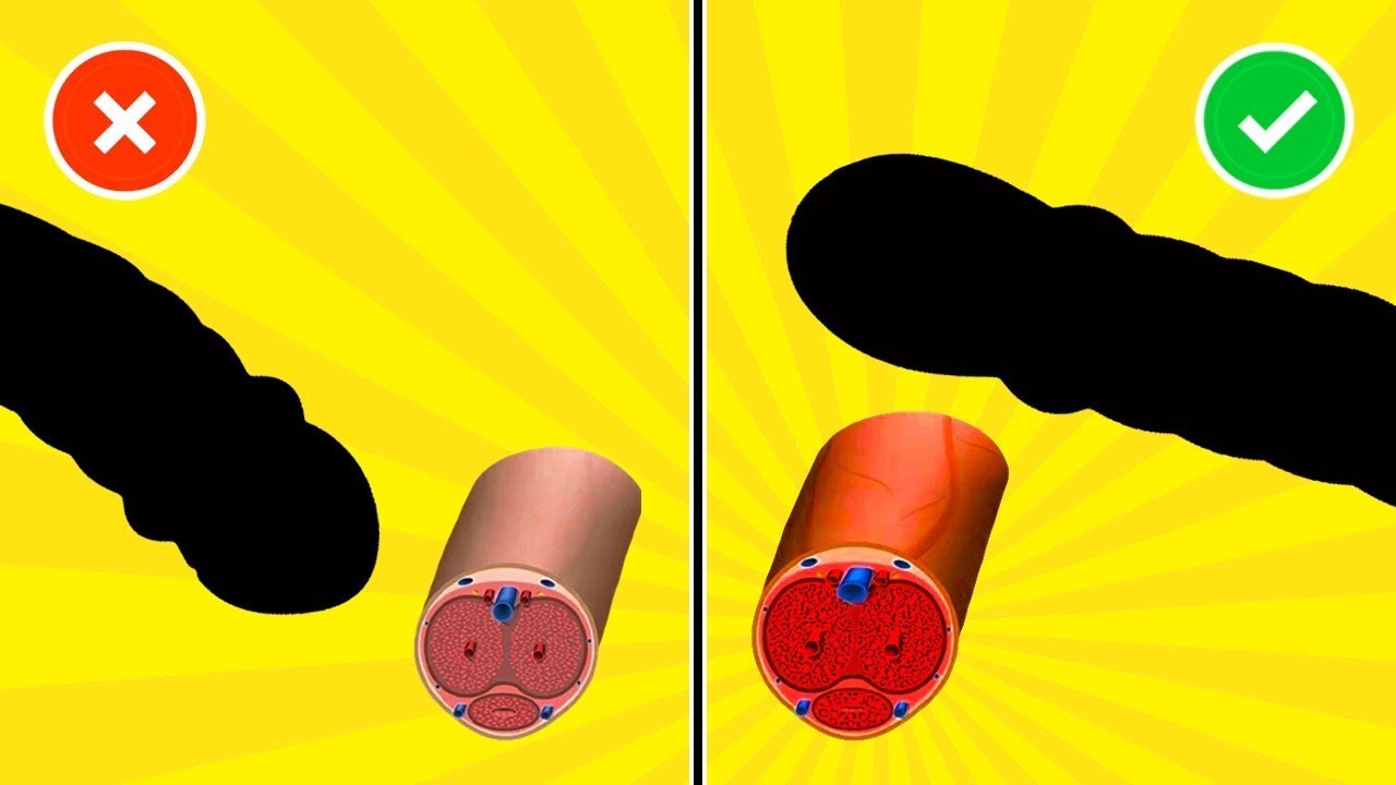 BETTER than VIAGRA! This Workout Will CHANGE YOUR LIFE YouTube