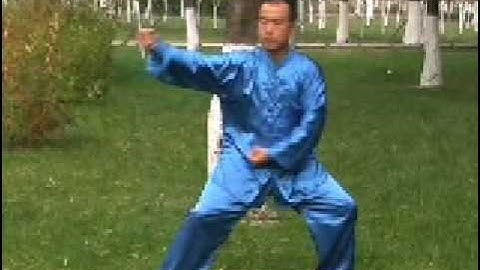 Hunyuan taichi 24 form set feng zhiqiang