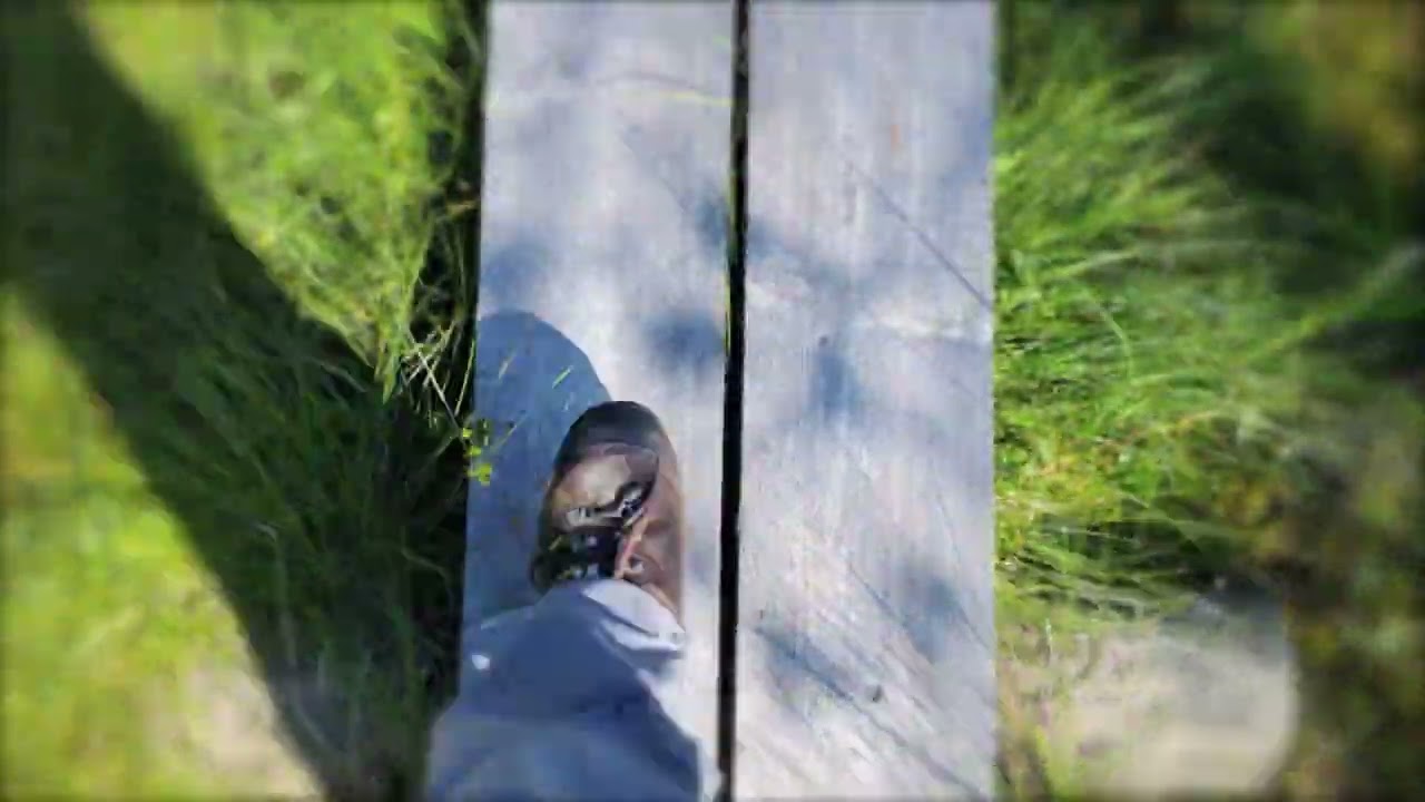 Kylmäluoma ja Aikkipetsi (elokuu 2024)