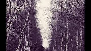 Hakobune – While Shadows Sweep Across the Lawn