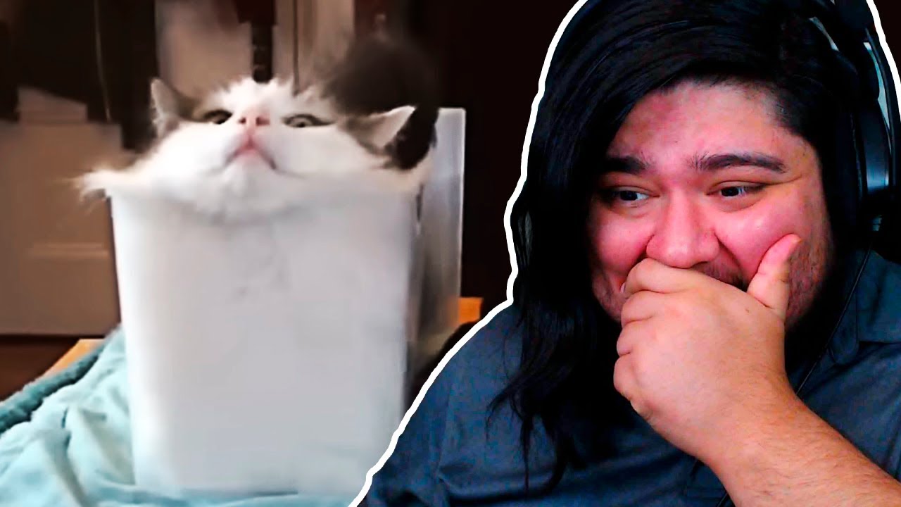 VIENDO MEMES RAROS #1