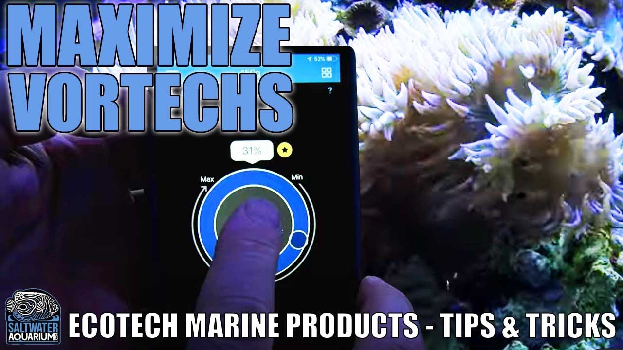 MAXIMIZE Your Vortechs - Ecotech Marine Products - Tips & Tricks