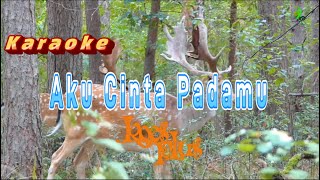 Aku Cinta Padamu - Koes Plus Karaoke
