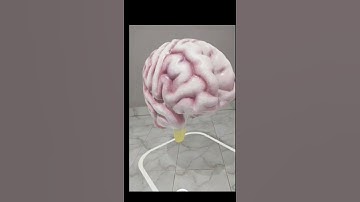 view animals in 3D |google 3d animals| ar in education|#shorts