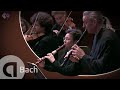 Bach: Brandenburg Concerto No.4, BWV 1049 - Concerto Köln, Cordula Breuer and Wolfgang Dey - Live HD