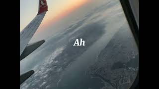 Lvbel C5 - Sezen Aksu Resimi