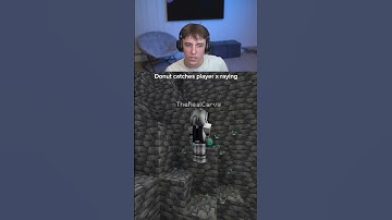 Donut caught a cheater 4k...