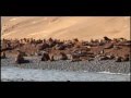 Reportaje al Perú : Paracas , reserva de felicidad - Cap 2