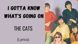 I GOTTA KNOW WHAT'S GOING ON - THE CATS (Lyrics) | @letssingwithme23