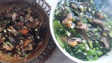 canh rau ngót cá rô.cá rô đồng kho tiêu. bữa cơm  gia đình @nkv