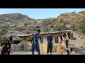 Collecting firewood in the Zagros mountains by a nomadic family 🌲🔥🪵