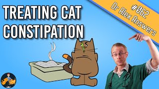 Cat Constipation: Home Remedy, Treatment and Prevention  Cat Health Vet Advice