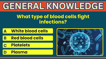 How Good Is Your General Knowledge? Take This 10-question Quiz To Find Out! #generalknowledge #GK